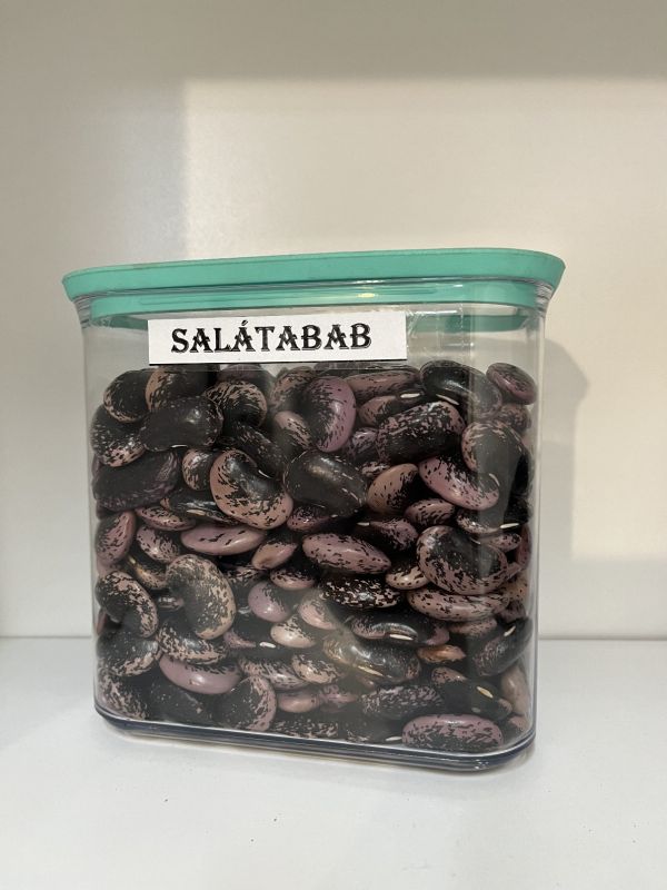 Színes salátabab